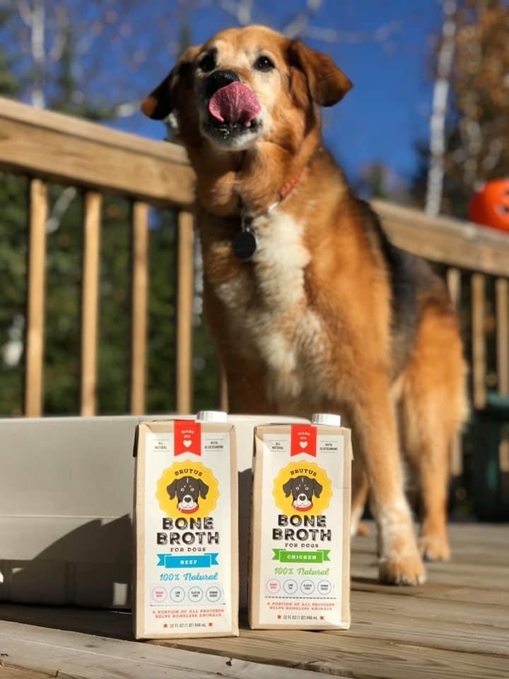 Brutus Bone Broth needs your help to protect America’s retired K9 Heroes
