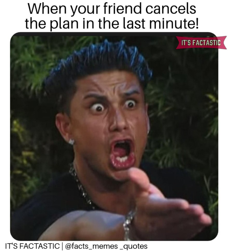 10 memes that sum up everyone’s reaction to canceled plans