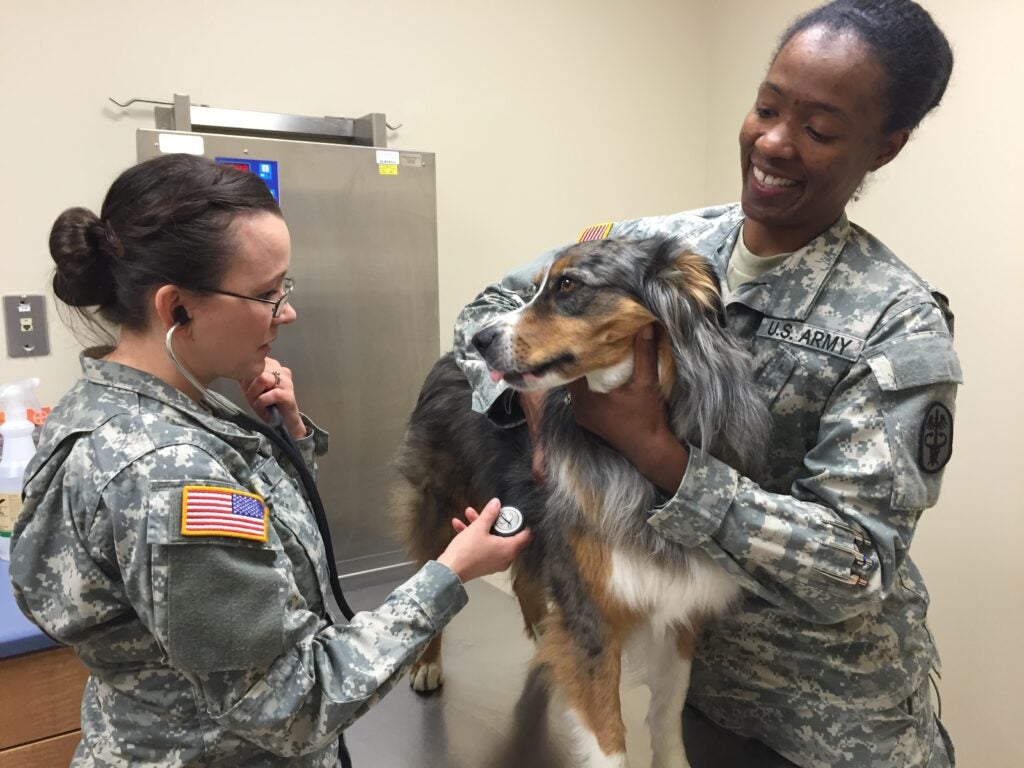 military veterinarian with dog