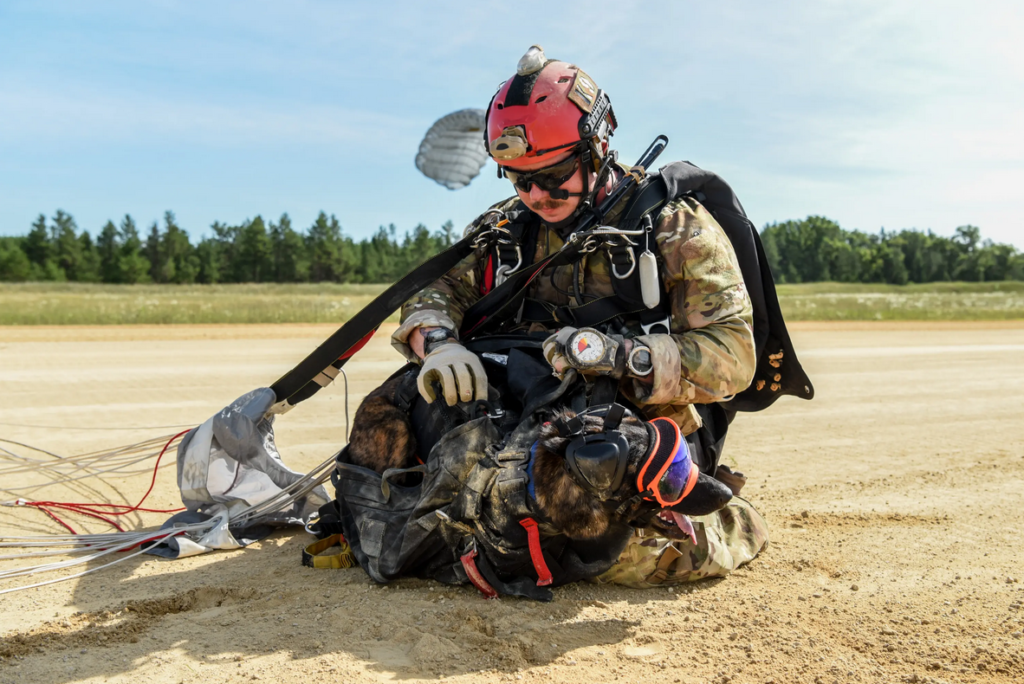 Meet Callie, the military’s only search-and-rescue dog