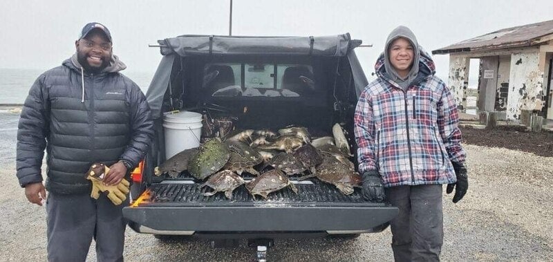 Texas Military community saves Green Sea Turtles during catastrophic winter storm