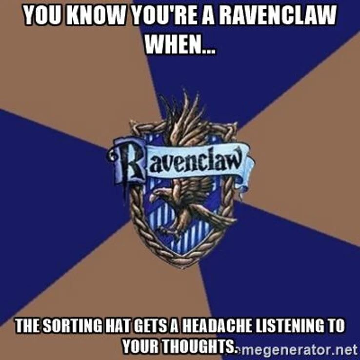 If military branches were Harry Potter houses