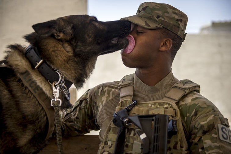 A dog’s love can cure anything — including PTSD