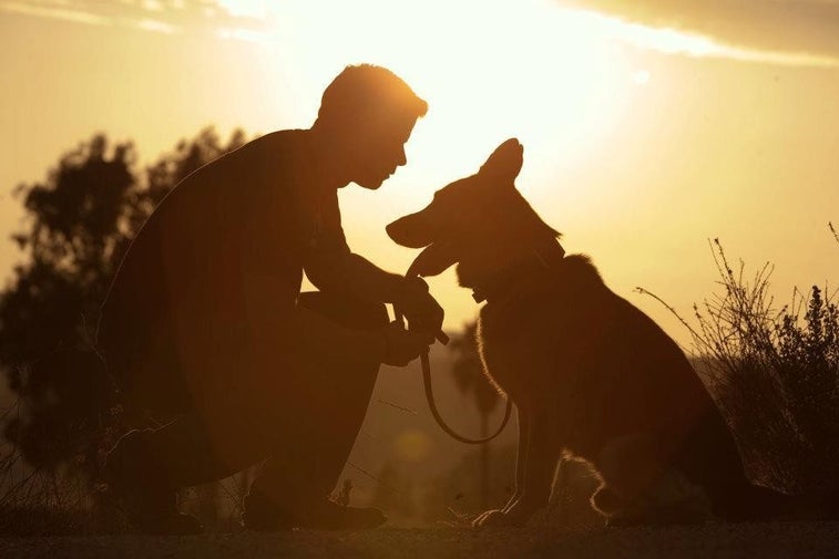 A dog’s love can cure anything — including PTSD