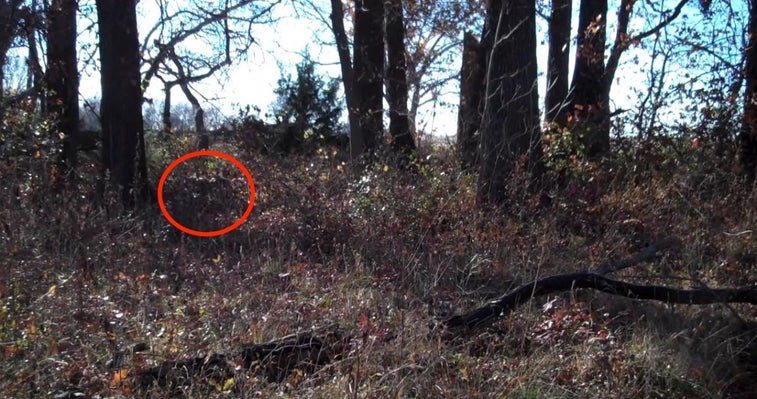 See if you can spot the camouflaged Marine watching you