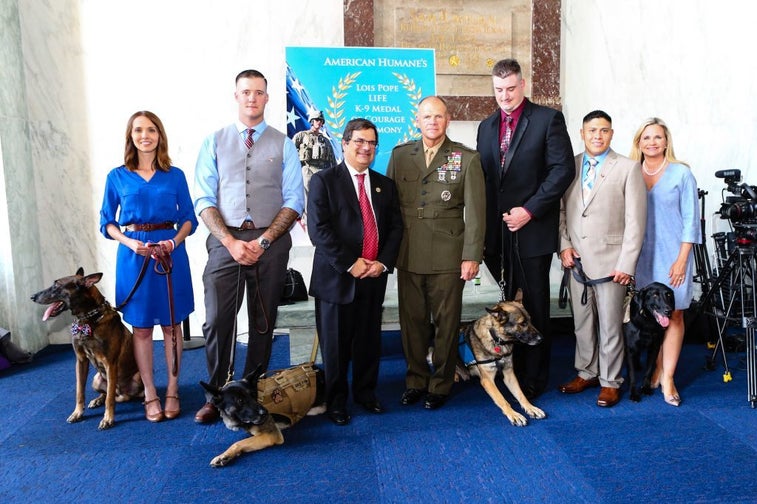 These K-9s received the Medal of Courage for excellent service