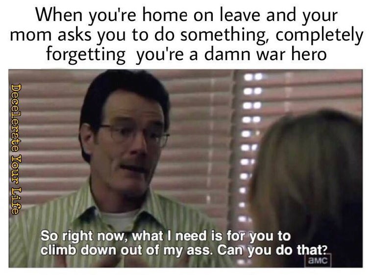 The 13 funniest Veterans Day memes for 2017