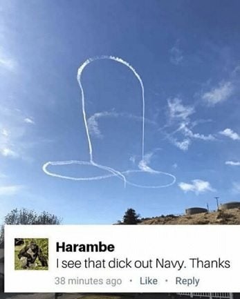 6 memes that immortalize the now-grounded ‘sky dick’ aircrew
