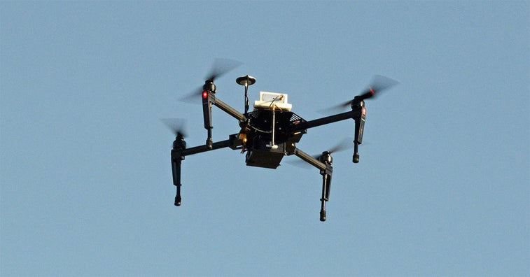 Your drone is more dangerous to aircraft than bird strikes