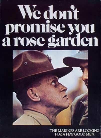 we don't promise you a rose garden poster