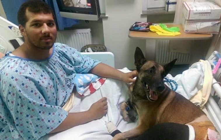 Military working dog awarded Purple Heart alongside handler