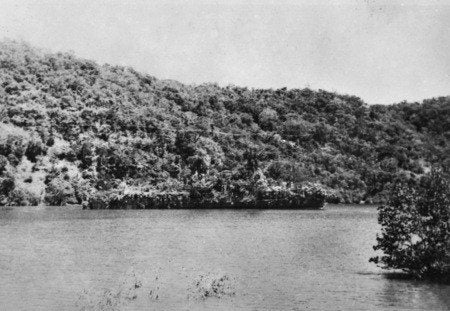 A warship pretended to be an island