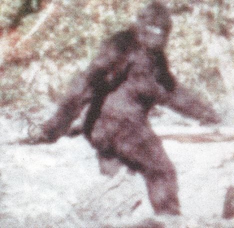 This is the story of US troops who think they saw Bigfoot in Vietnam