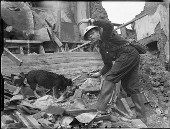 Five war heroes who also happened to be dogs