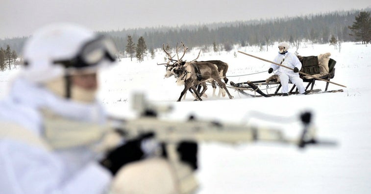 The Russians are using tactical reindeer to patrol the arctic