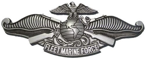 fleet marine force warfare pin