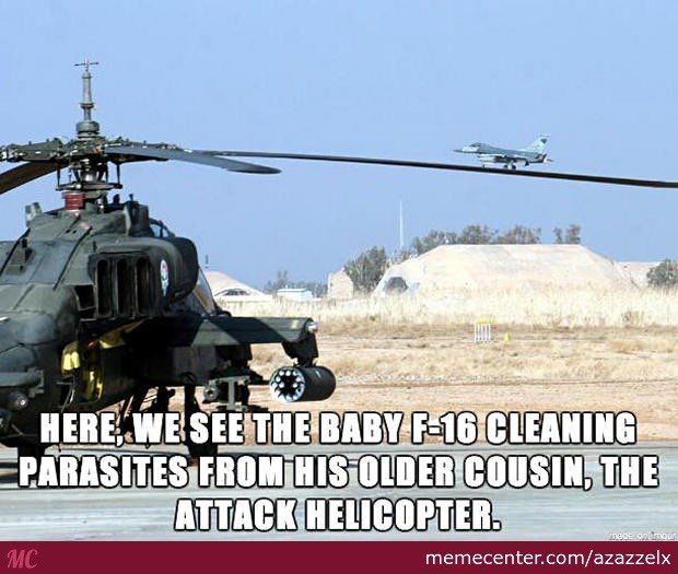 The 12 Funniest Military Memes Of The Week