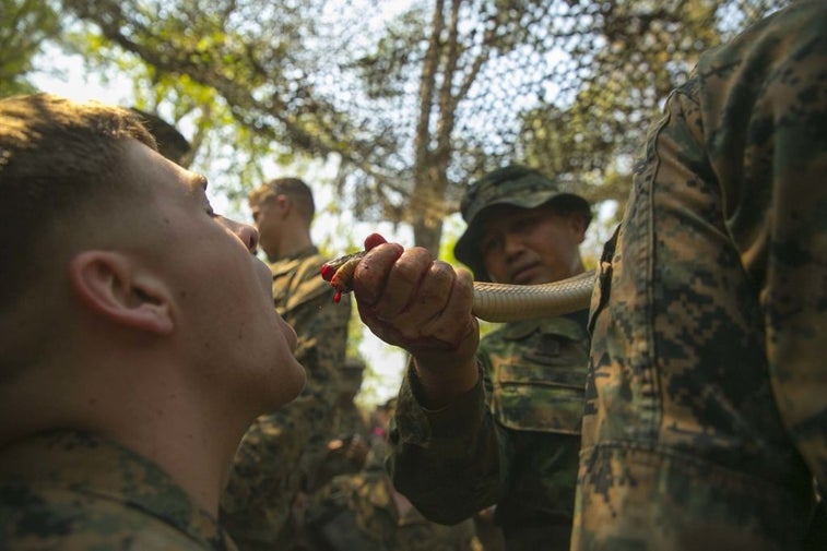 Incredible photos of US Marines learning how to survive in the jungle during one of Asia’s biggest military exercises