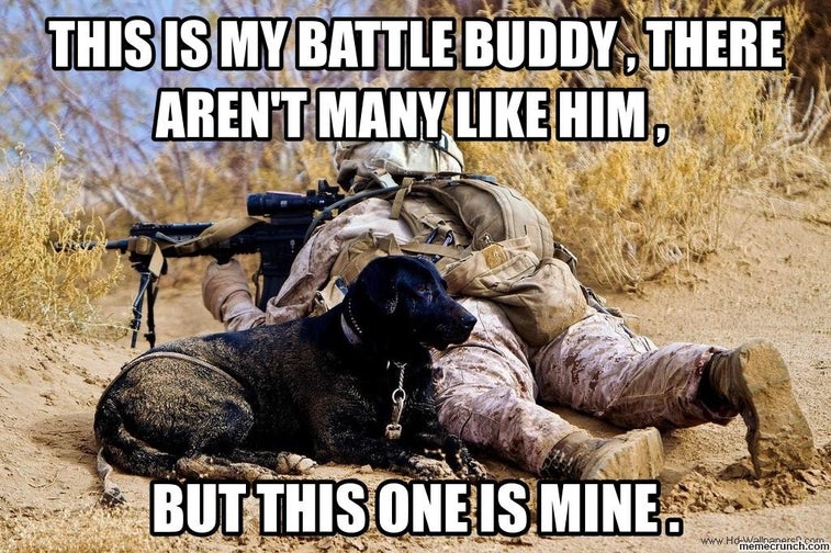The 13 funniest military memes this week – battle buddy edition