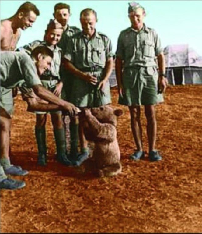 The story of Wojtek: The 440-pound bear that drank, smoked, and carried weapons for the Polish army during World War II
