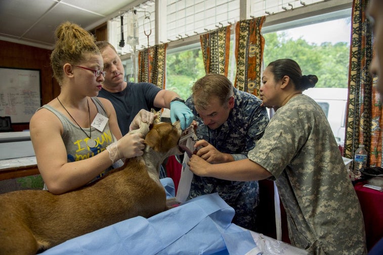 22 photos of the incredible floating hospital that can care for 1,000 patients at once