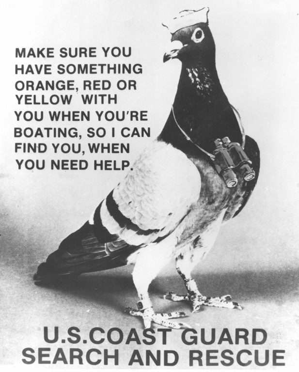 That time the Coast Guard tried using pigeons for sea rescues