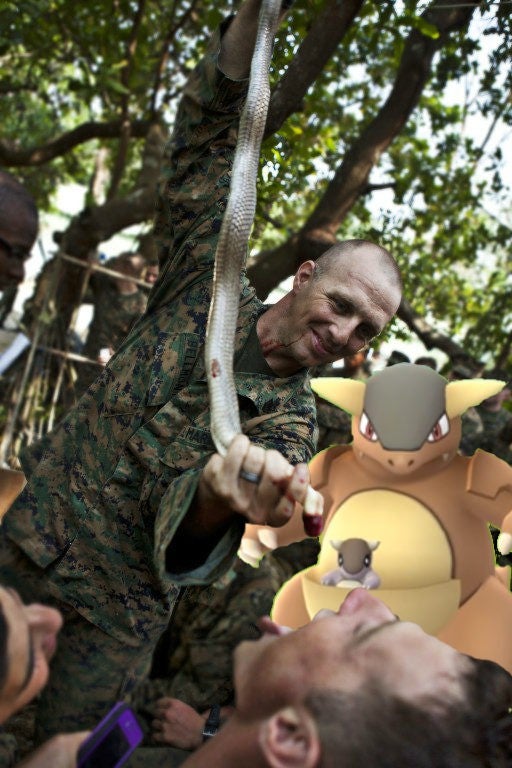 These are the 6 things that happened when the commander started Pokemon Go