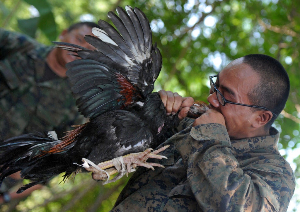 A soldier biting off the head of a chicken, one of many crazy military drills 
