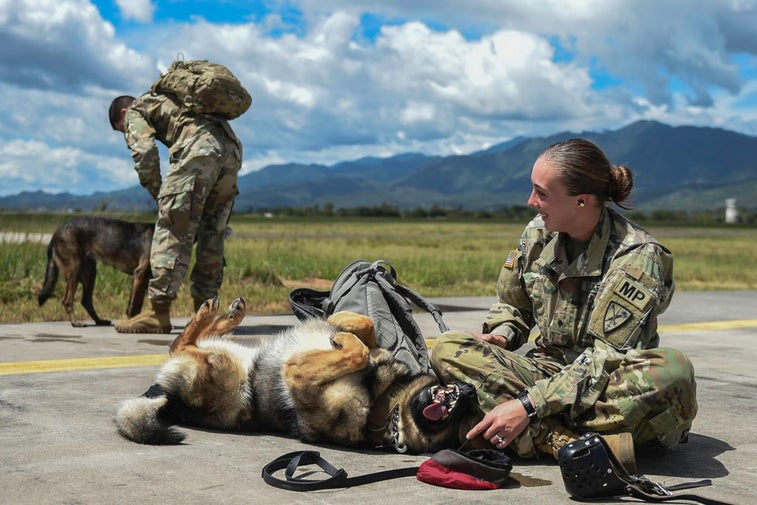 These are the best pictures from the military this week