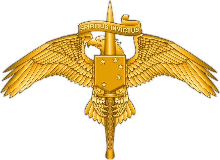 This is the brand new badge for MARSOC operators