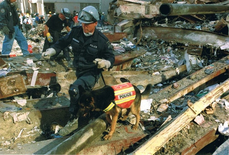 This ‘cloneworthy’ police dog found the last survivor of the 9/11 attacks