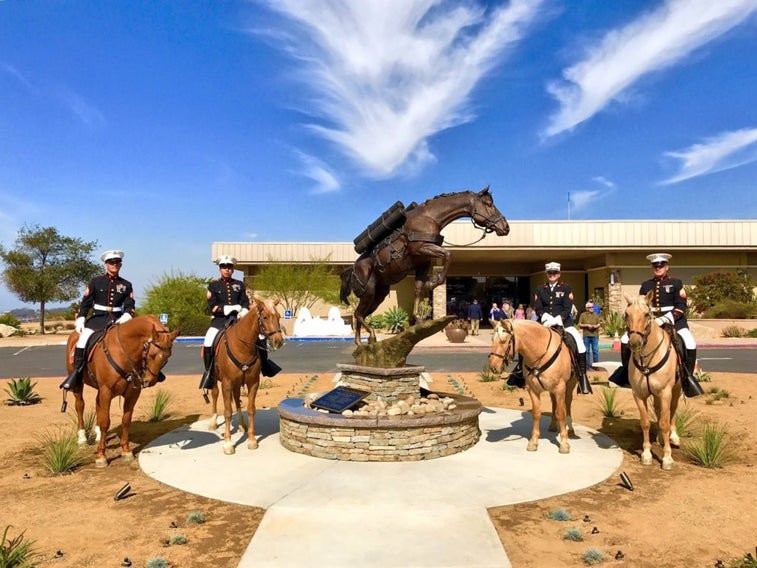 This hero horse of the Marine Corps got her own statue