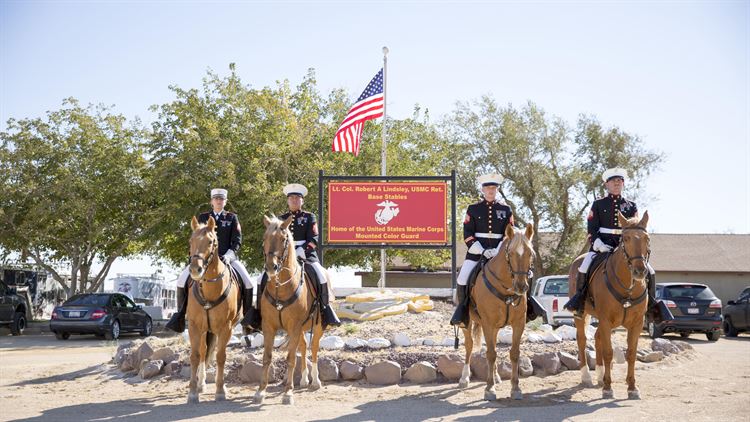 The Marine Corps’ last Mounted Color Guard enters 50 years of service