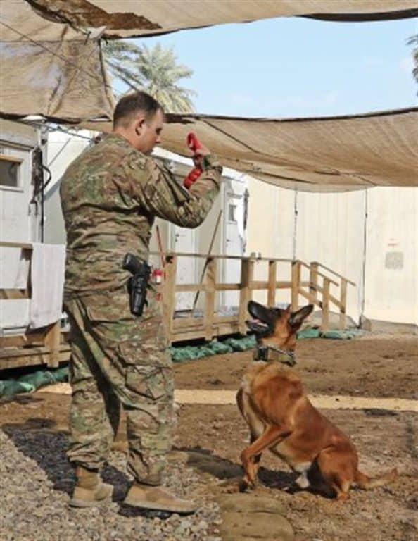A soldier and his military working dog bond in Baghdad