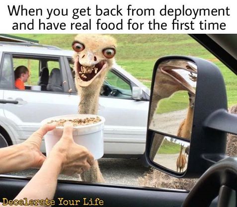 13 funniest military memes for the week of Aug. 18th