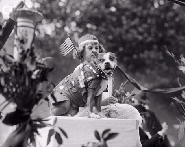 A stray dog named ‘Stubby’ was the most decorated dog of WWI