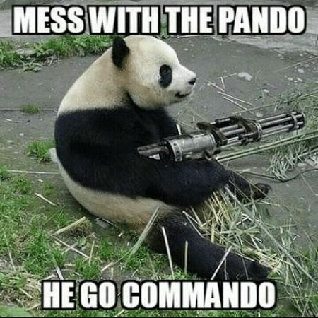 The ‘Pando Commandos’ were more intense than you’d think