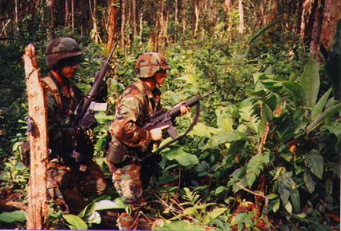 Why Jungle Warfare School was called a ‘Green Hell’
