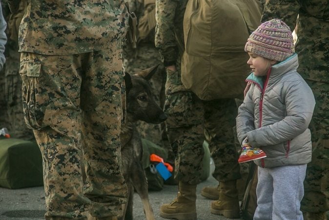 13 pictures of military working dogs being good puppies