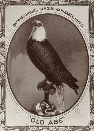 This is the story of Old Abe, the ‘Screaming’ Eagle