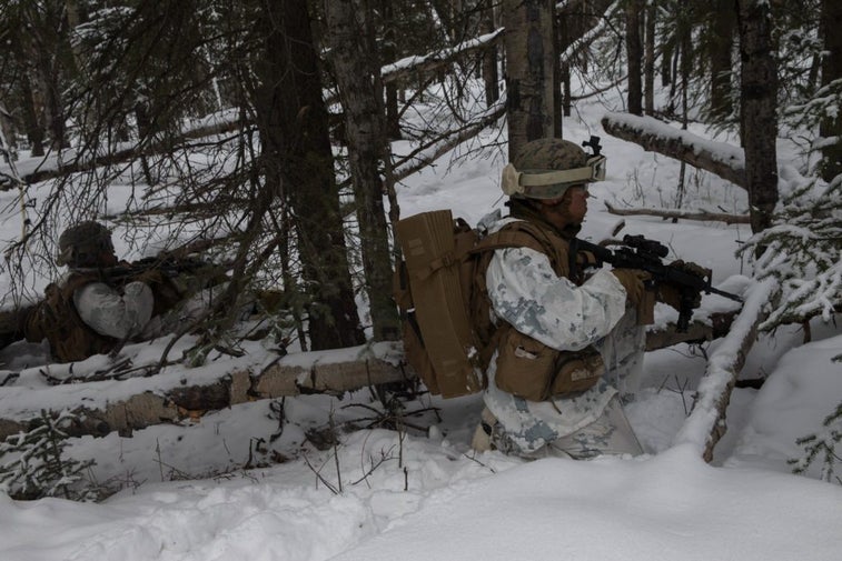 Watch Marines train for Arctic warfare