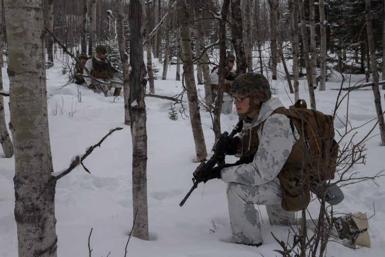Watch Marines train for Arctic warfare