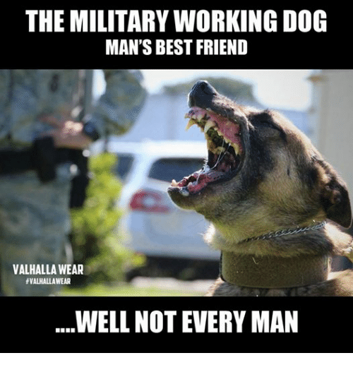 11 military dog memes that are flat-out funny AF - We Are The Mighty