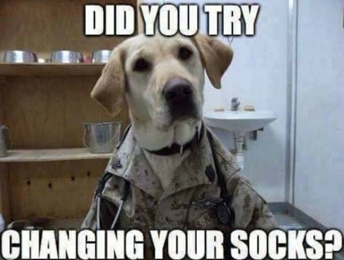 11 military dog memes that are flat-out funny AF