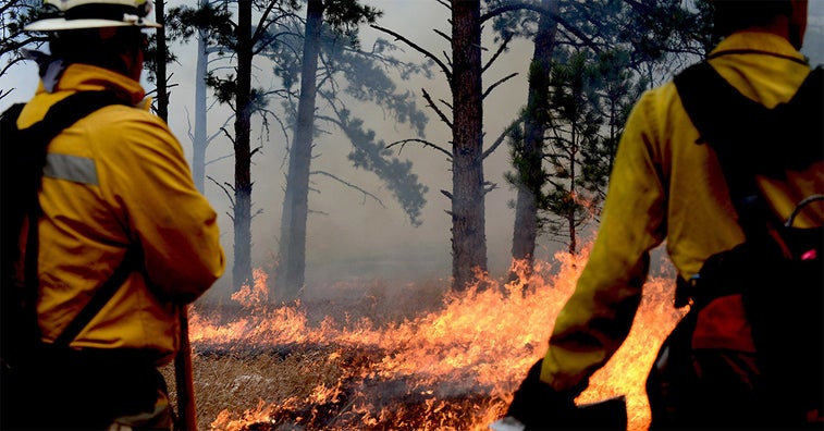 The Army is sending 200 soldiers to combat US wildfires