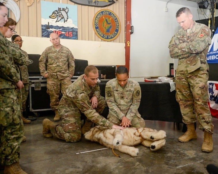 Army holds class on combat first aid for puppers