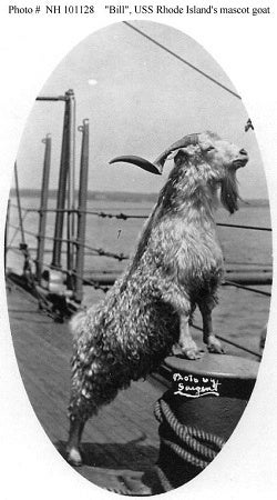 The bizarre history of the Naval Academy’s mascot, ‘Bill the Goat’