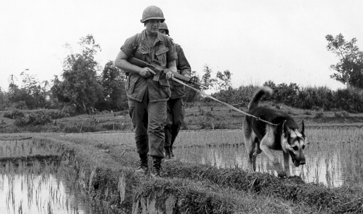 Warriors in their own words: The ‘Tunnel Rats’ of Vietnam
