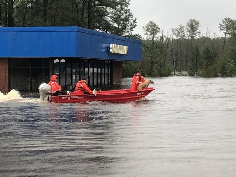These photos show how the military is rescuing Florence victims