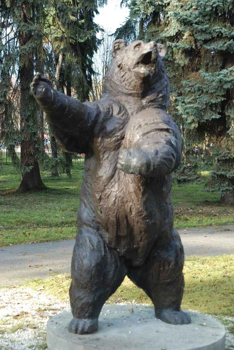Wojtek, the 400-pound artillery bear, will get his own movie